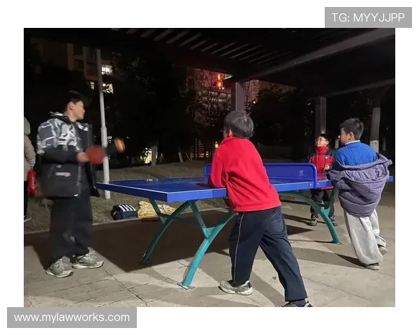 开云爱体育：探索多样化的体育项目，找到最适合你的运动方式