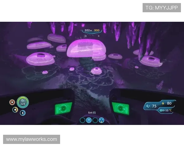 爱游戏ayx官网平台最新版本上线，带你畅享极致游戏体验